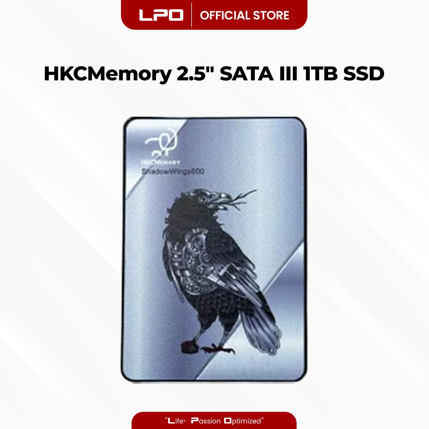 HKCMemory DS600 1TB 2.5
