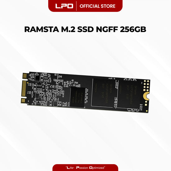 RAMSTA R900 M.2 2280 NCMe SSD NGFF 256GB